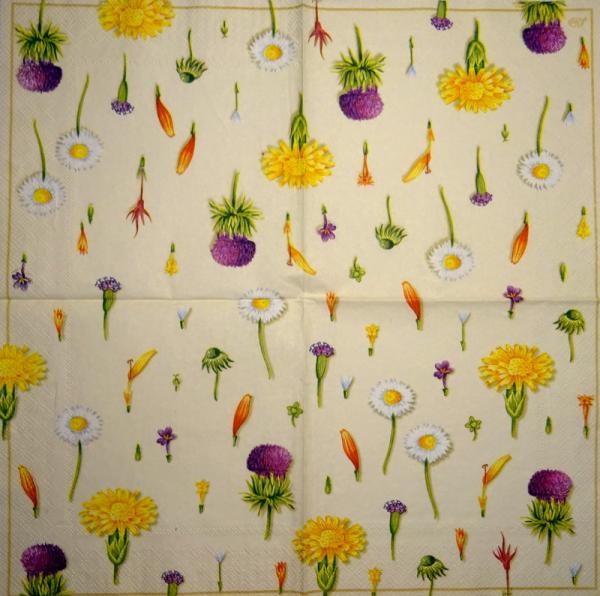 008 Gänseblümchen  - 3 ply - Ihr